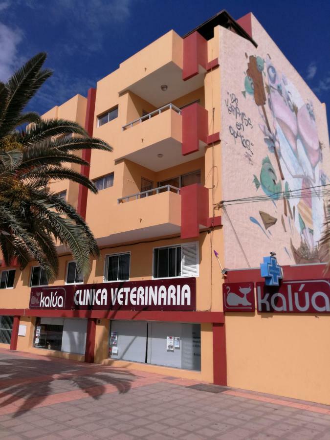 Apartmán Venturamar Gran Tarajal Exteriér fotografie